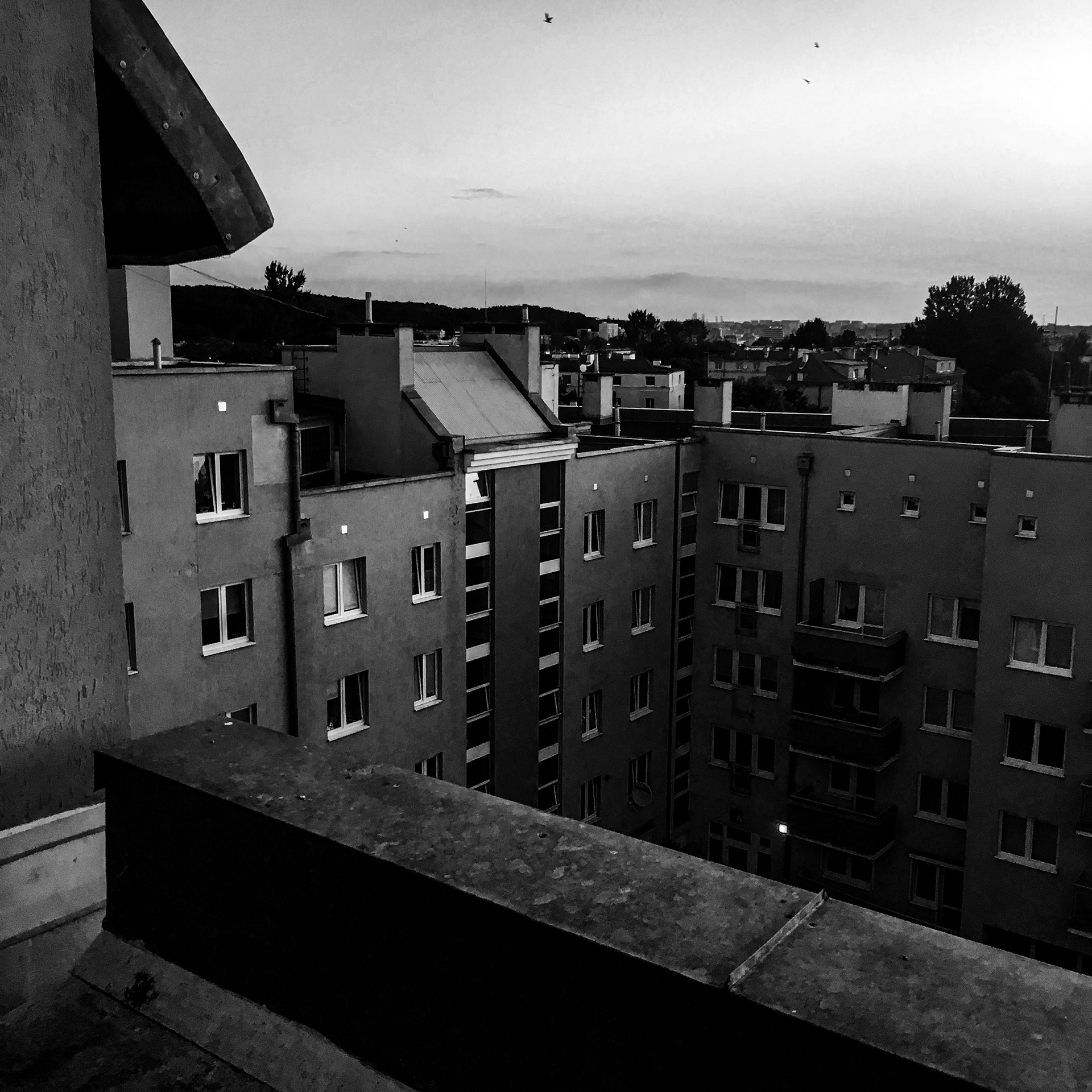 935642d4-163b-4225-9892-4e44addd5db5_rw_1920